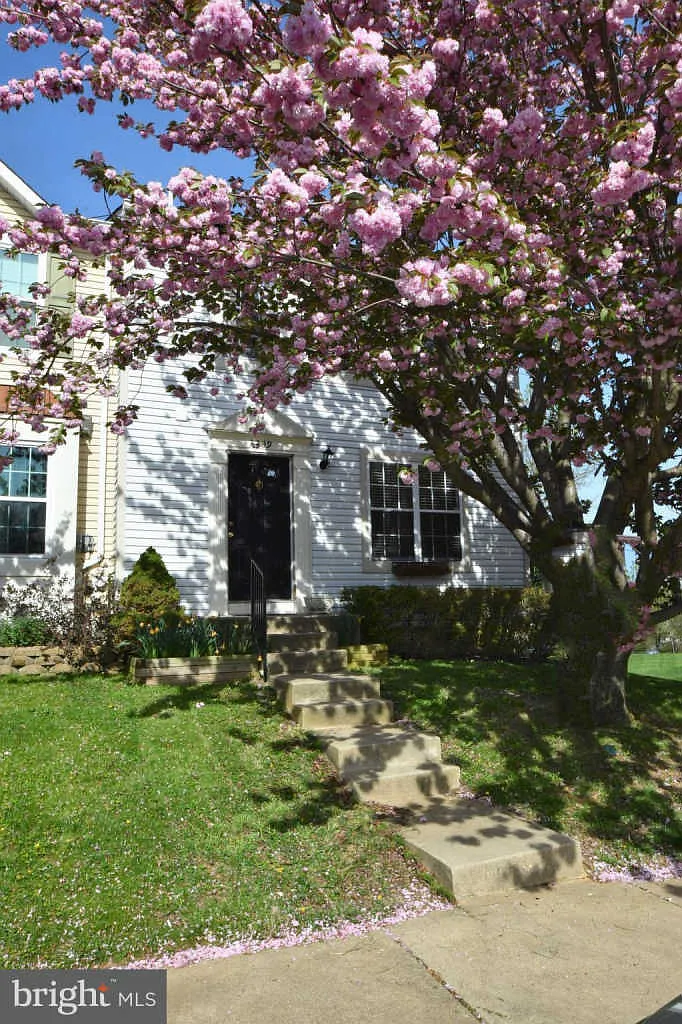 3339 Midland Ct photo 1