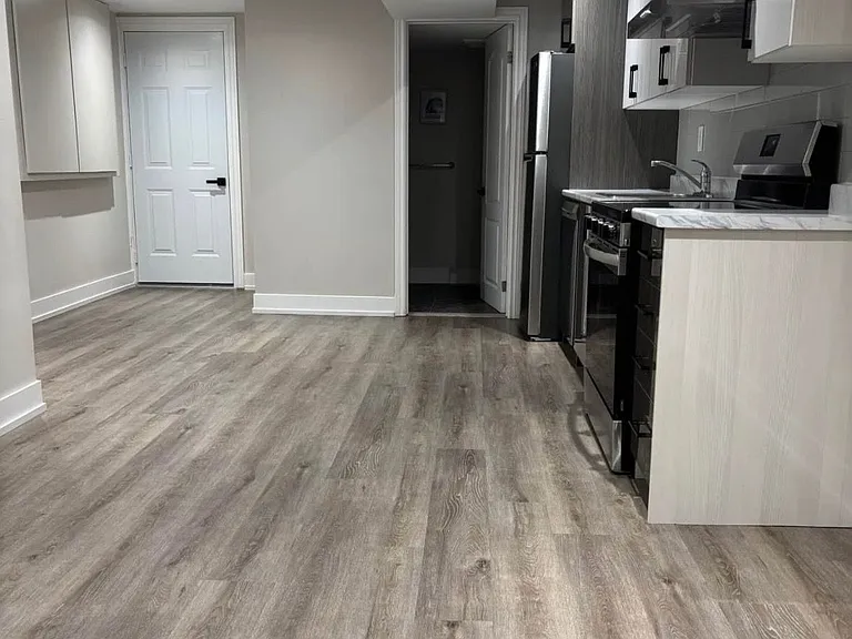 60 Wood Rim Dr #BASEMENT — Photo 8