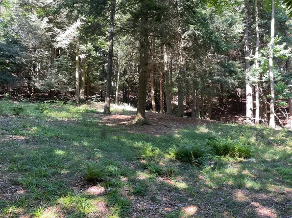 1786 S Sable Point Dr, Shelby, MI 49455