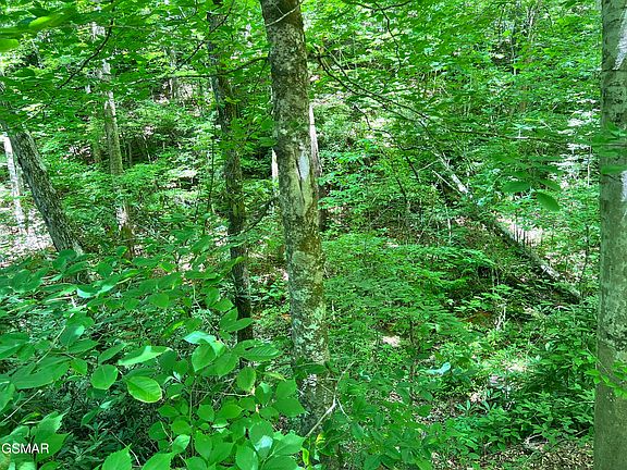 2nd image of LOT 110 Fir Way