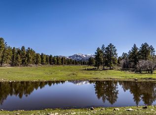 2132 Needles View Pl, Pagosa Springs, CO 81147