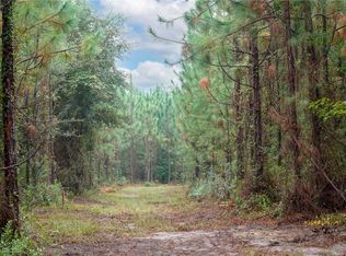3 Tract Old Saddle Way Rd, Townsend, GA 31331