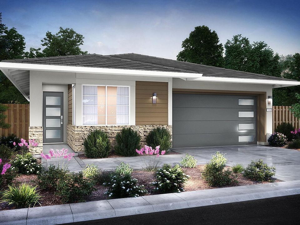 Modern Elevation