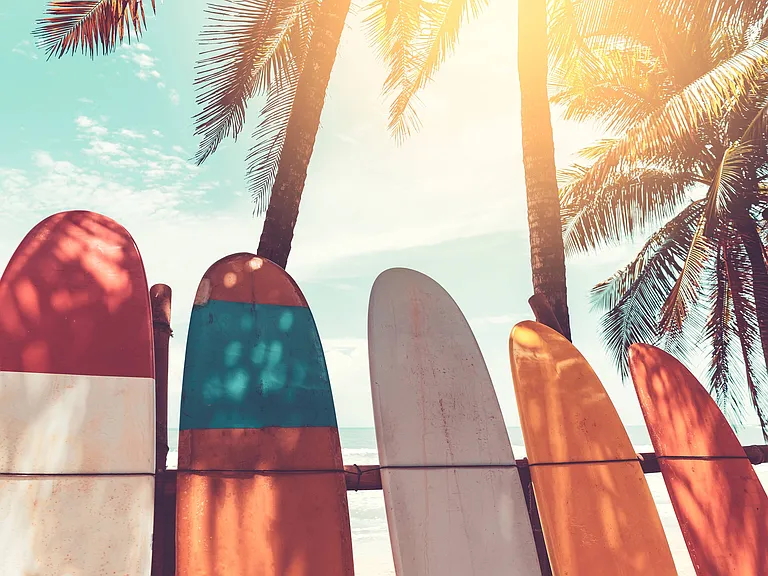 Paddleboard Sunset With Palm Trees