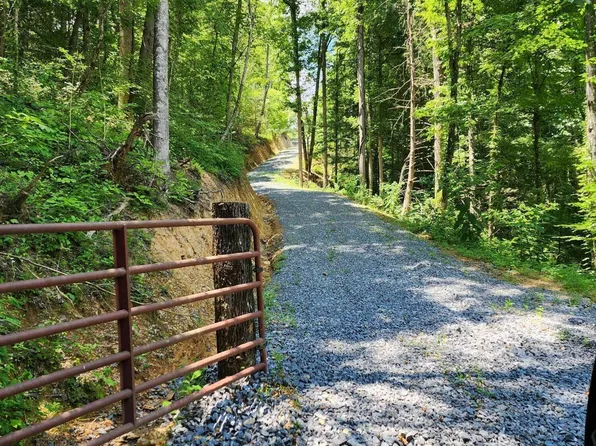 0 Tiger Lilly Dr, Cosby, TN 37722