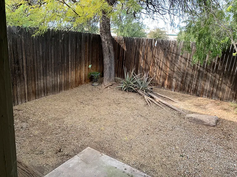 Backyard with Patio