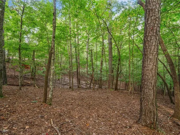 0 Gunite Cir #2847, Ellijay, GA 30540