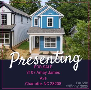 3107 Amay James Ave, Charlotte, NC, 28208