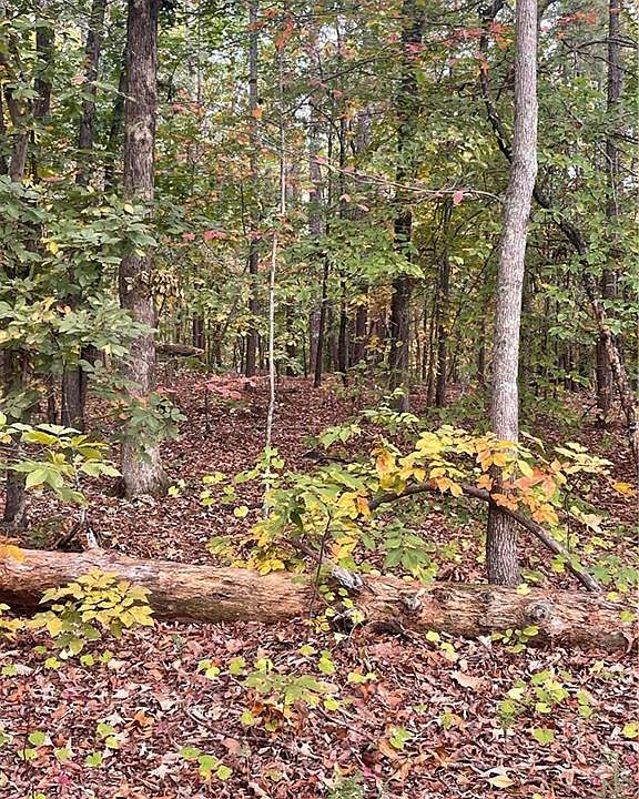 2nd image of 41 Foxfire Ln #41