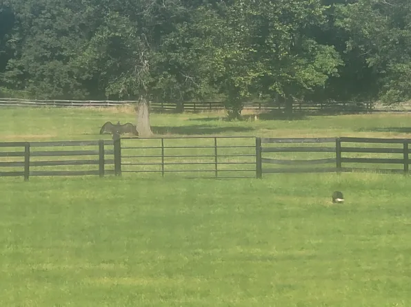 20161 Trappe Rd #1, Bluemont, VA 20135