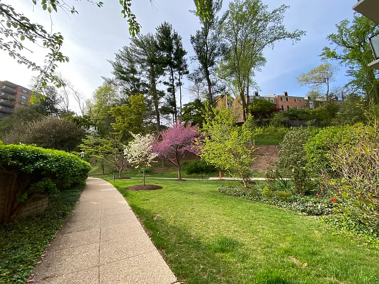 4201 Cathedral Ave NW — Photo 12