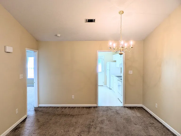 407 Flowing Creek Dr — Photo 4