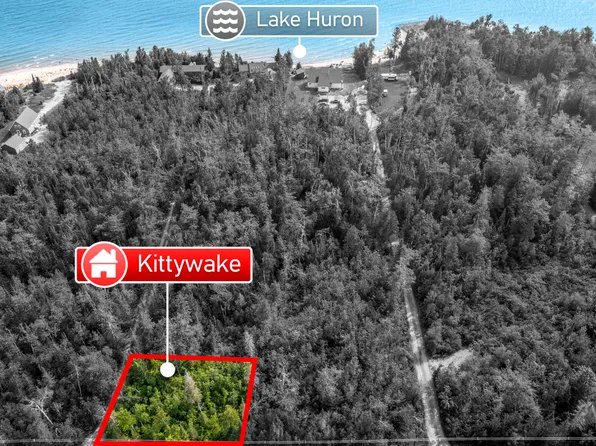 V/l Kittywake Ln, Millersburg, MI 49759