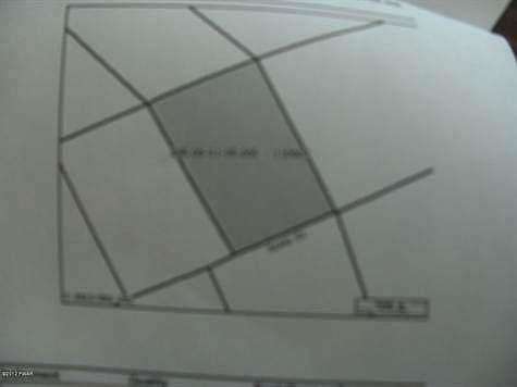 brancaccio