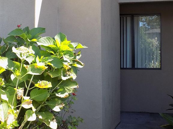3rd image of 2246 Piccardo Cir