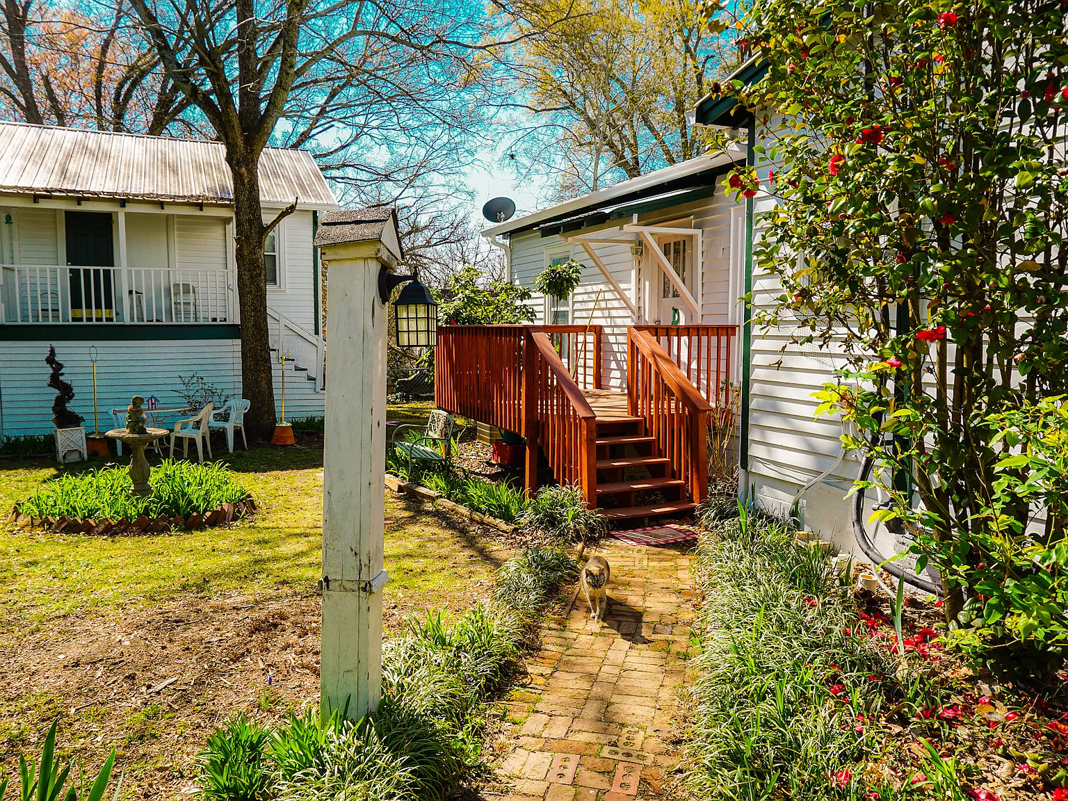 1 bed, 1100 sqft, $1,300 — Photo 2