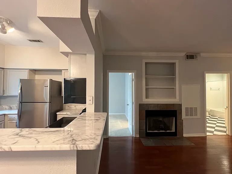 700 Daniel Ellis Dr #4208 — Photo 20