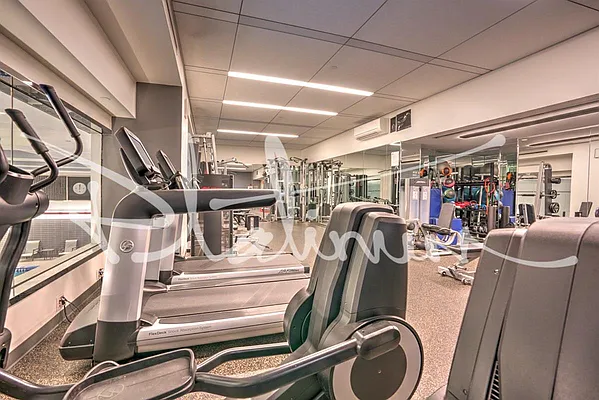 Rented by Platinum Properties | media 22