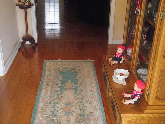 3rd image of 566 Christel Springs Dr