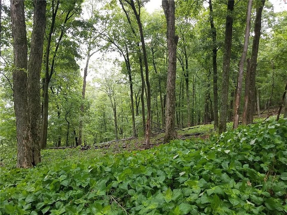 1st image of 677 County Road 156