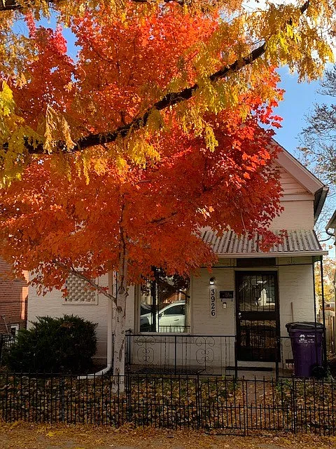2 bed, 1300 sqft, $3,500 — Photo 1