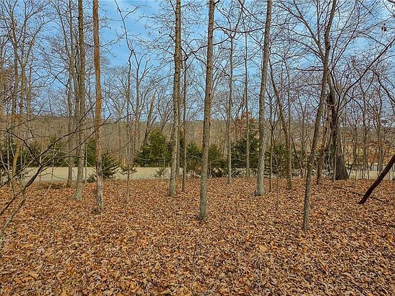5th image of 1251 Spring Creek Dr