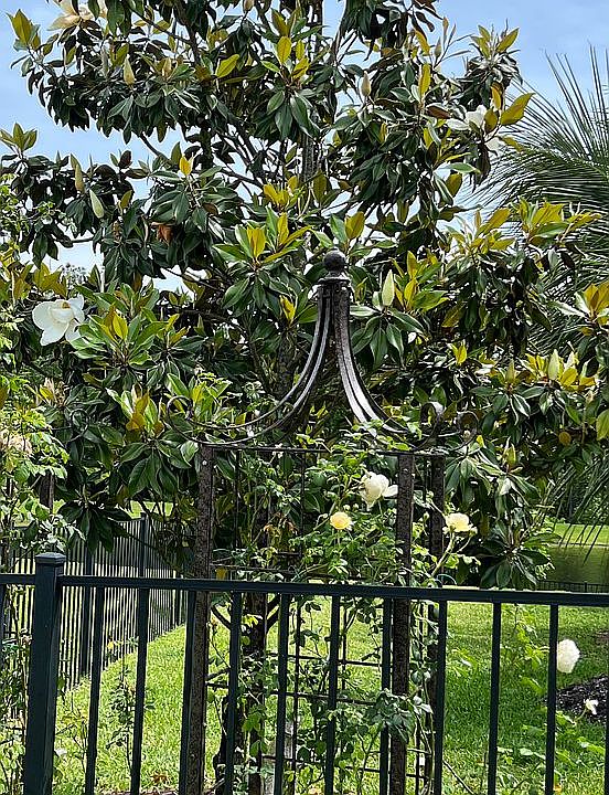 1st image of 559 Mahi Dr