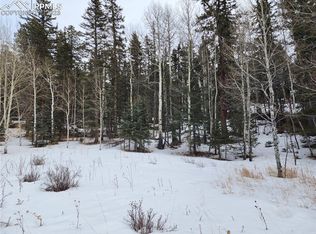243 Pennsylvania Ave, Woodland Park, CO 80863