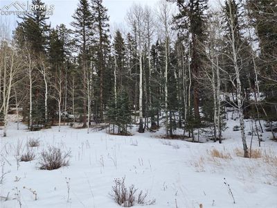 243 Pennsylvania Ave, Woodland Park, CO, 80863