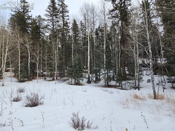 243 Pennsylvania Ave, Woodland Park, CO 80863