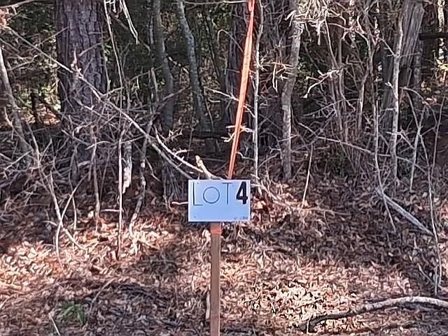 1st image of State Highway 424 Lot 4