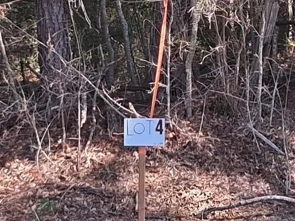 State Highway 424 Lot 4, Franklinton, LA 70438