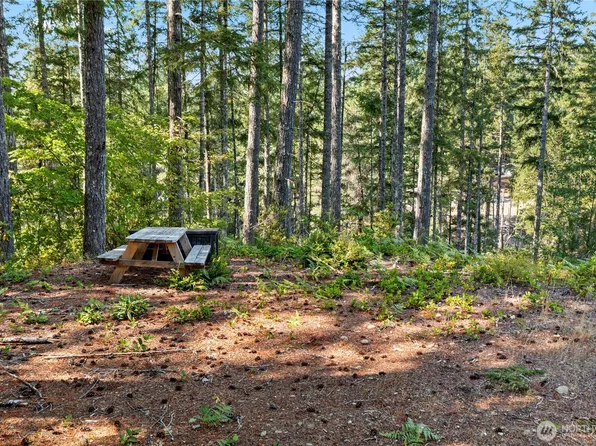 261 NE Circle Drive, Tahuya, WA 98588