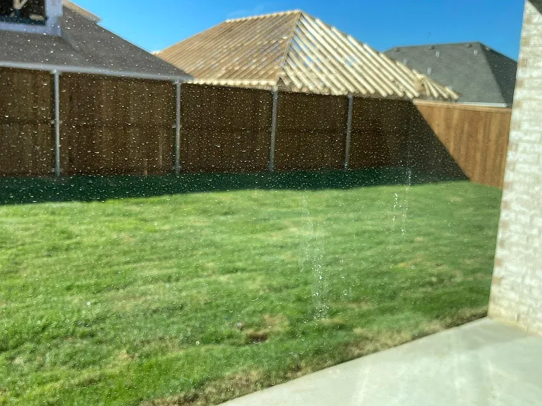 Back yard