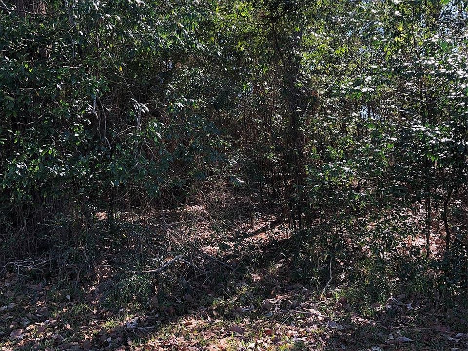 2nd image of 389 Live Oak