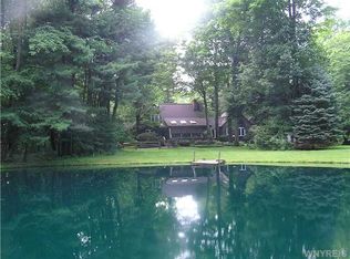 9793 Tice Rd, Eden, NY 14057