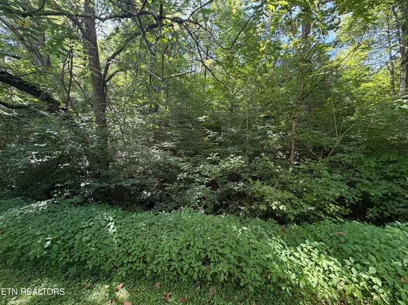 LOT 11 Smoky Mountain Way, Sevierville, TN 37876