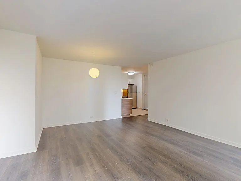 Dining/Living room