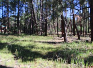 811 Pine Valley Rd, Bayfield, CO 81122