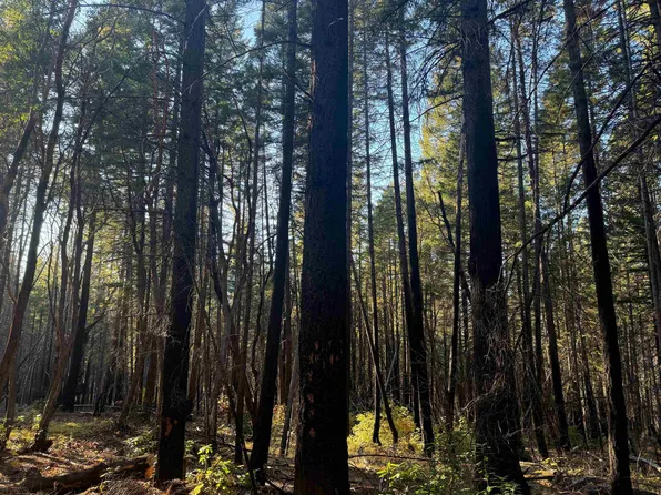 Cade Mountain 19n01 Forest Rd, Happy Camp, CA 96039