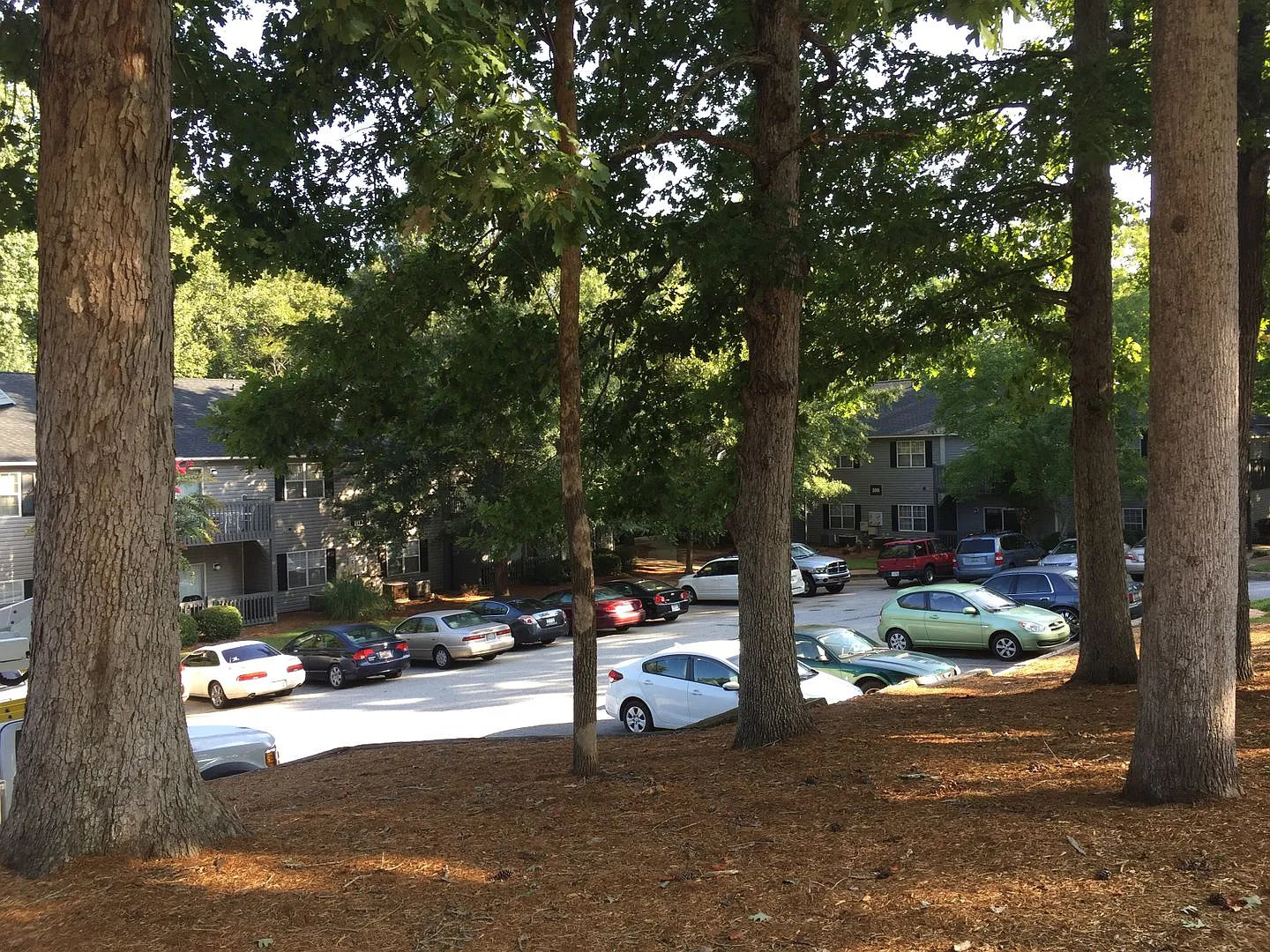 124C Hidden Creek — Photo 4