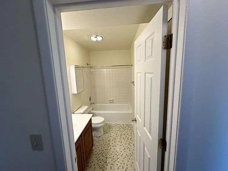 Full Hallway Bathroom