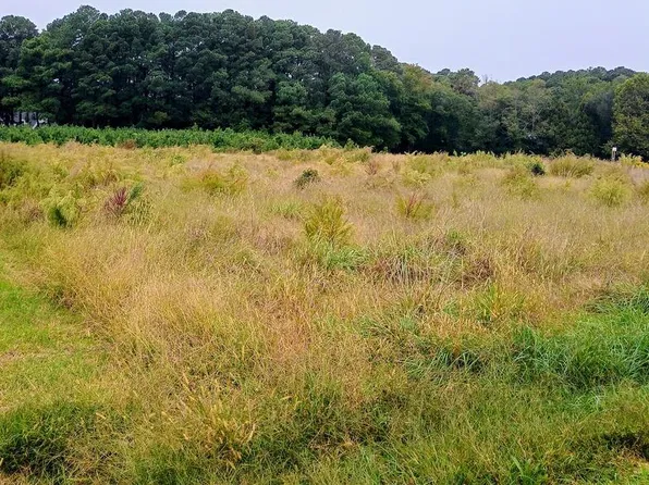 41 Church Neck Rd #41, Machipongo, VA 23405