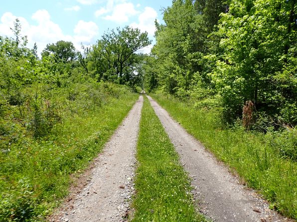 0 Allenton Rd, Pine Apple, AL 36768