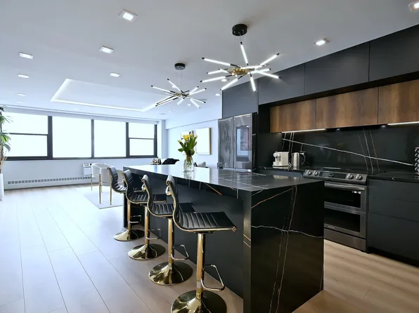 1150 N Lake Shore Dr APT 22A, Chicago, IL 60611