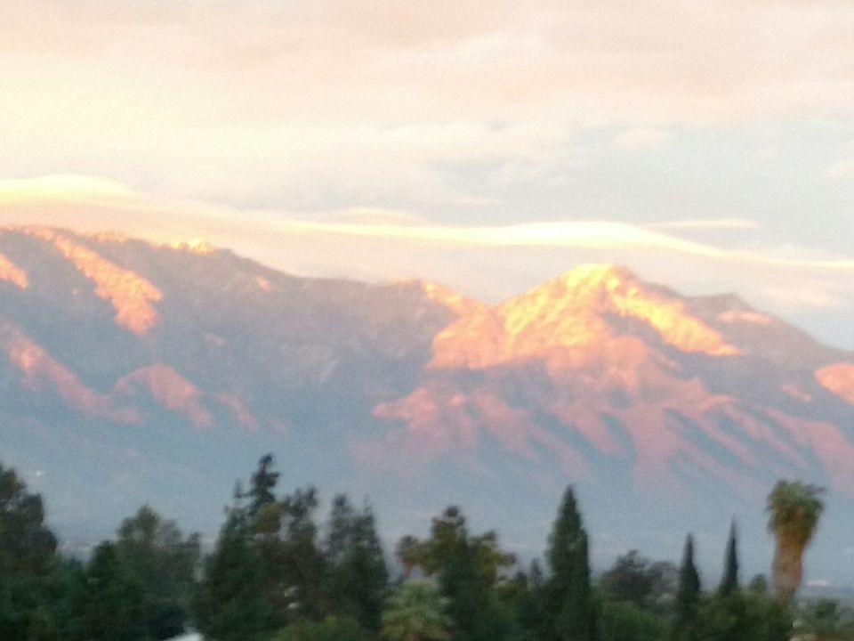 Really taken from backyard!
