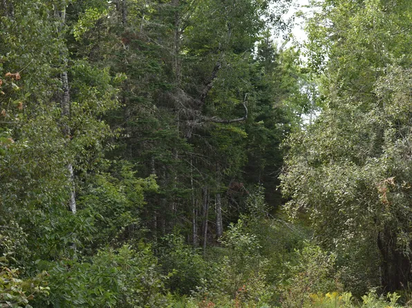 2 Pickle Ridge Road, Webster Plt, ME 04487