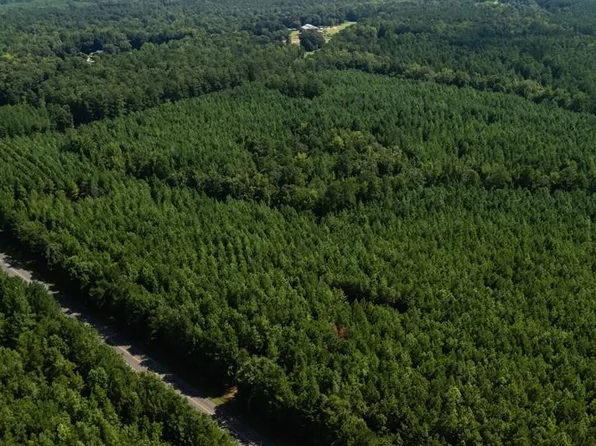 0 Fortune Hole Rd, Hamilton, GA 31811