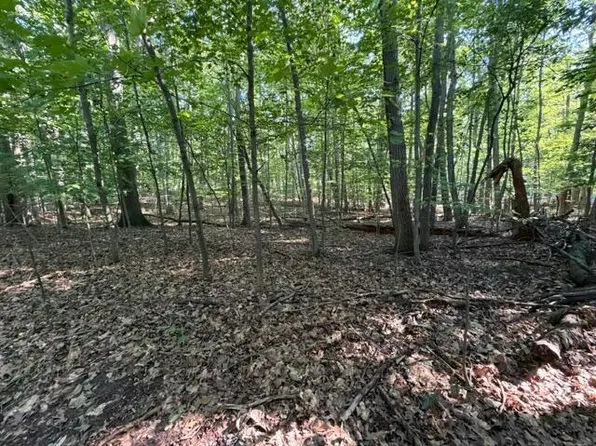 W Cherry St, Ludington, MI 49431
