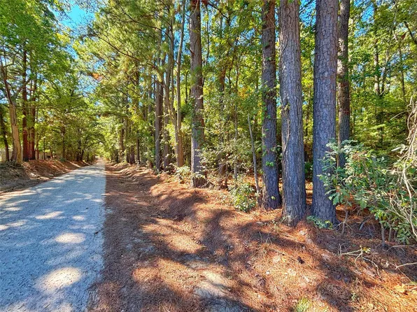 County Road 1620, Grapeland, TX 75844